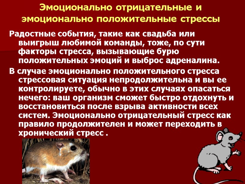 Эмоционально отрицательные и эмоционально положительные стрессы Радостные события, такие как свадьба или выигрыш любимой